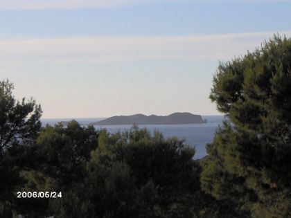 Com treure les taques d'oli de les catifes. Serveis de neteja a llavaneres